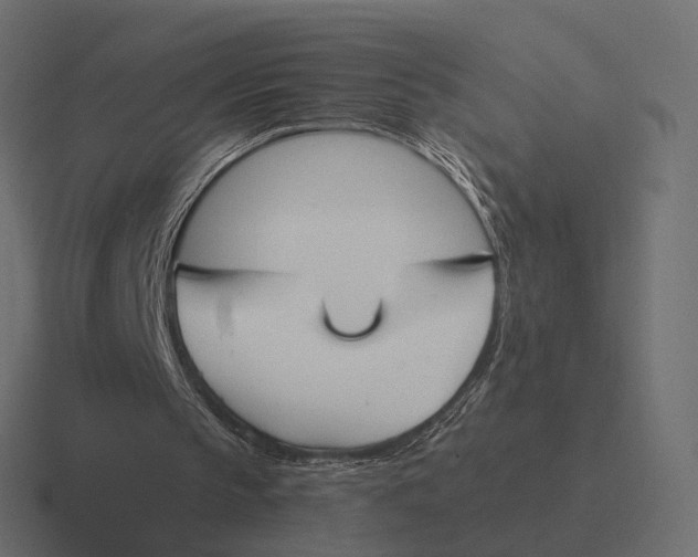 X0000116290145200912291419