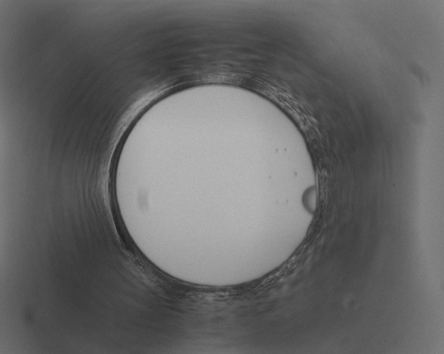 X0000116290147200912291419