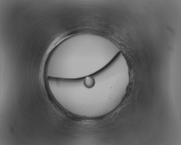 X0000116290150200912291419