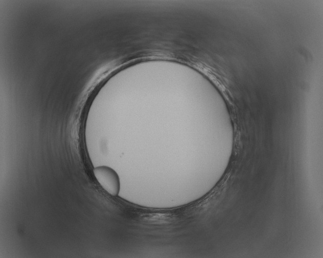 X0000116290151200912291419