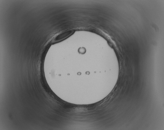 X0000116290154200912291419