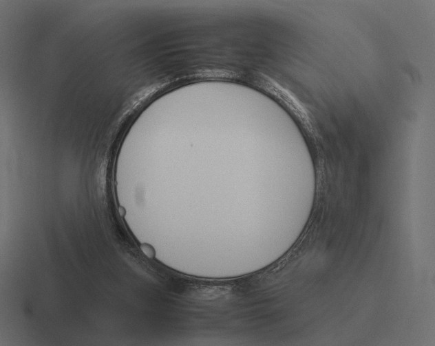 X0000116290155200912291419