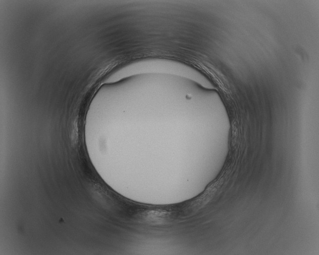 X0000116290158200912291419