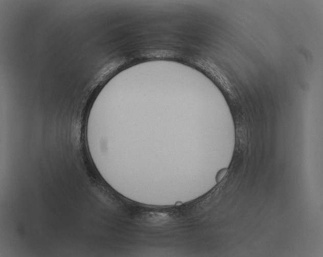 X0000116290159200912291419