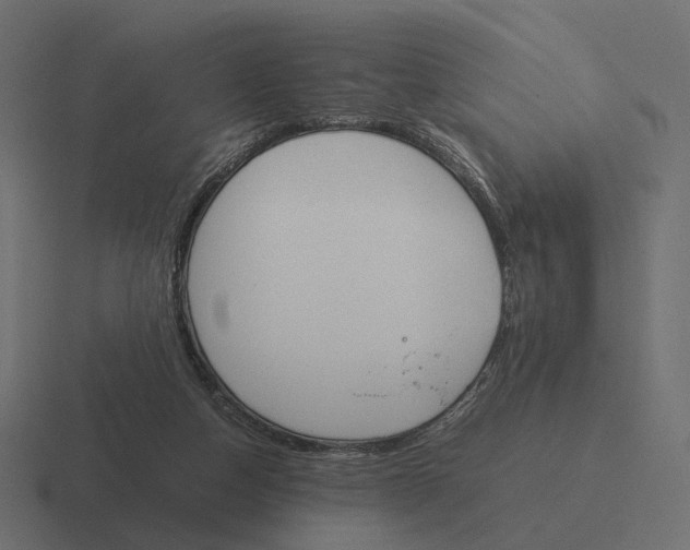 X0000116290162200912291419