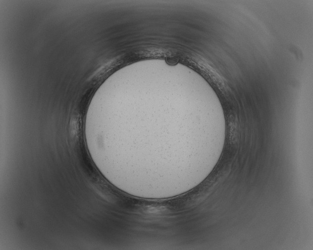 X0000116290165200912291419