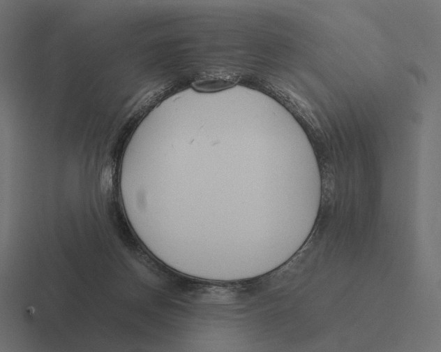 X0000116290166200912291419