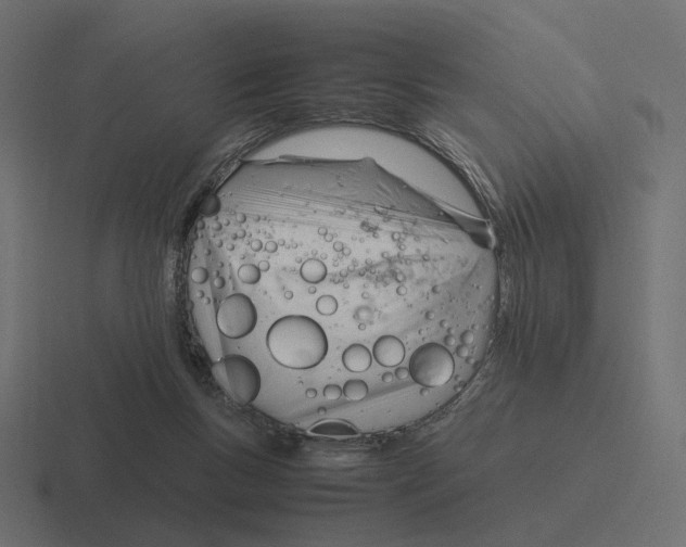 X0000116290167200912291419