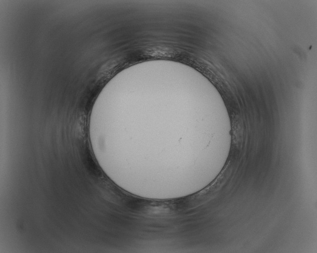 X0000116290175200912291419