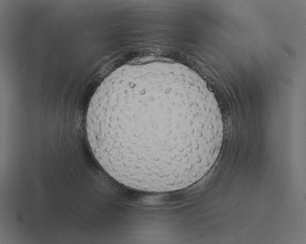 X0000116290178200912291419