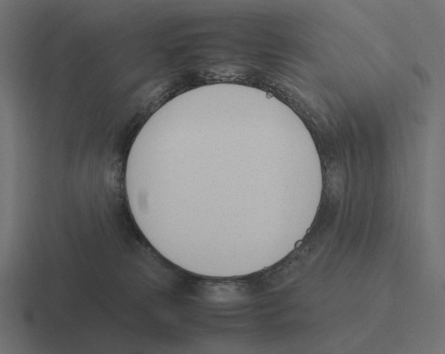 X0000116290181200912291419