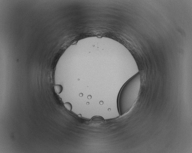 X0000116290182200912291419