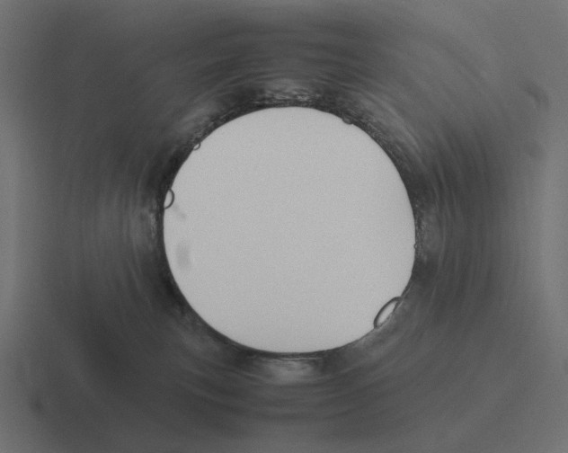 X0000116290183200912291419