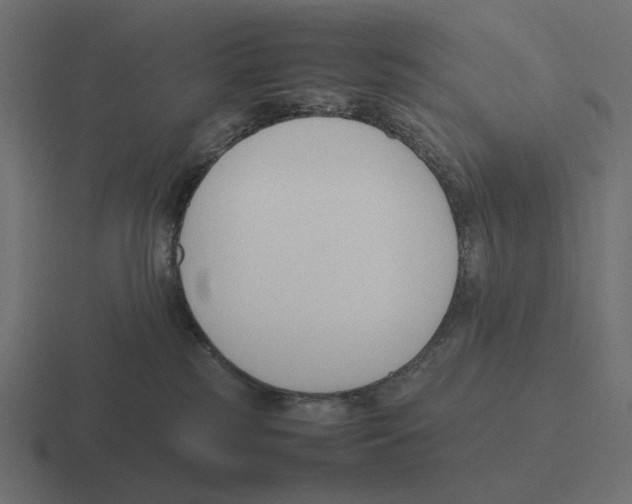 X0000116290185200912291419