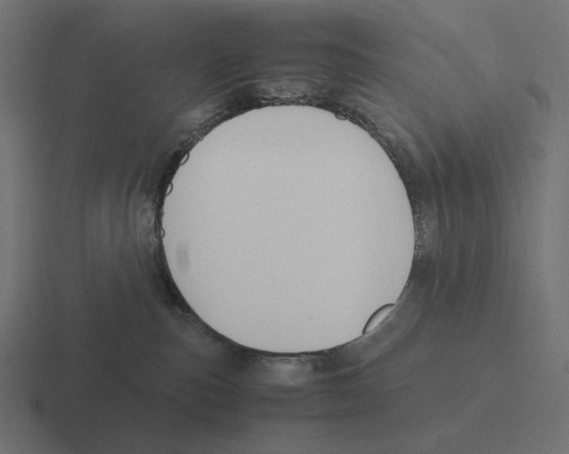 X0000116290187200912291419