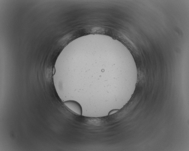 X0000116290189200912291419