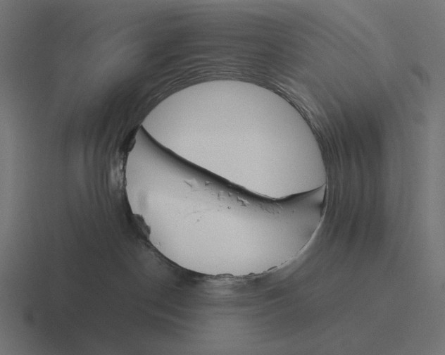 X0000116290190200912291419