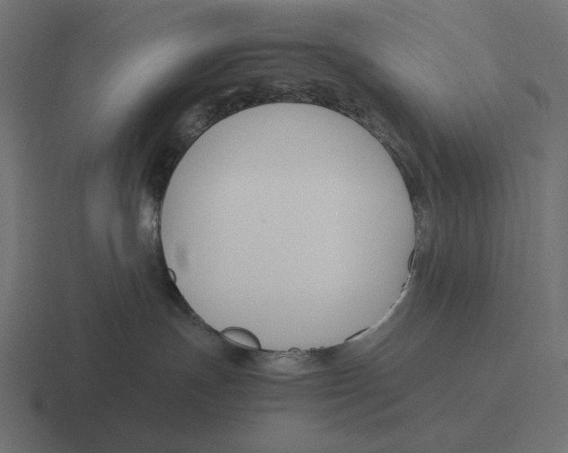 X0000116290191200912291419