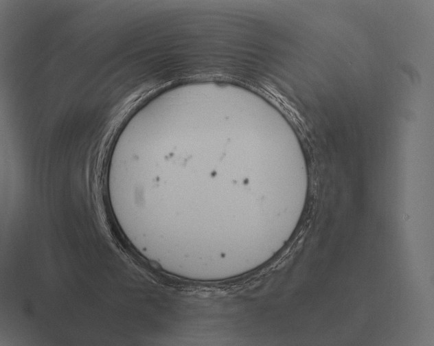 X0000116290193200912291419