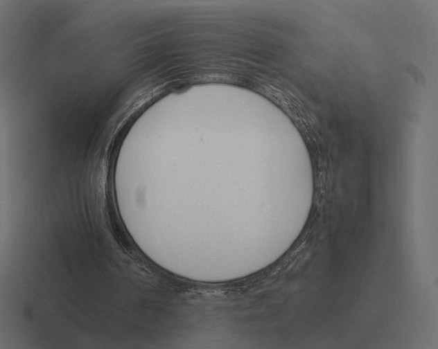 X0000116290194200912291419