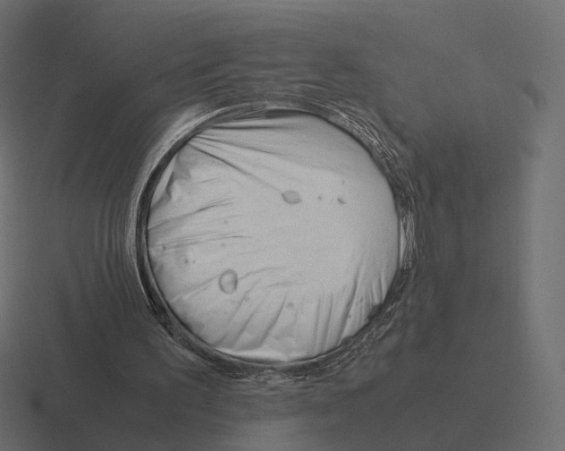 X0000116290195200912291419