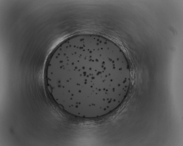 X0000116290196200912291419