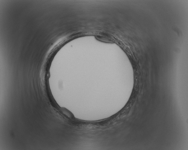 X0000116290197200912291419