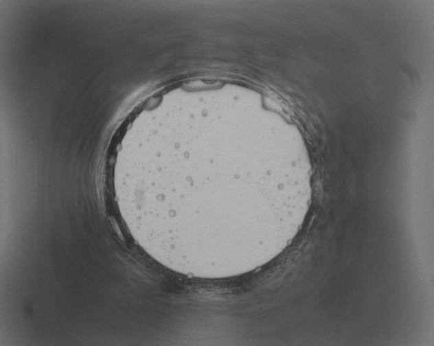 X0000116290199200912291419