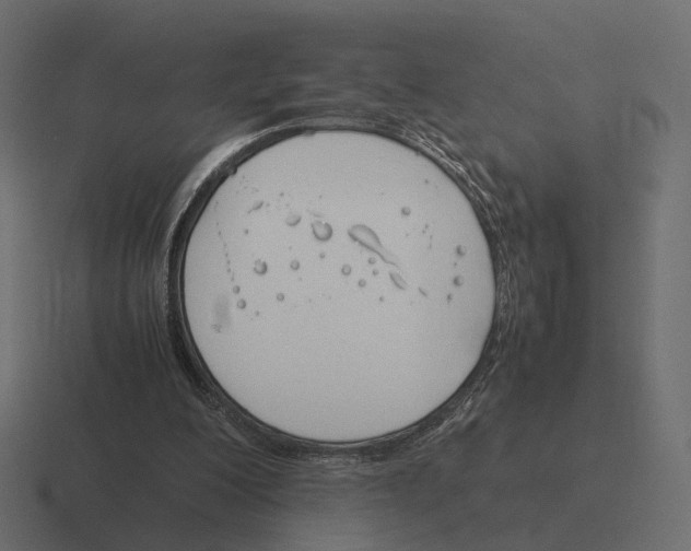 X0000116290200200912291419