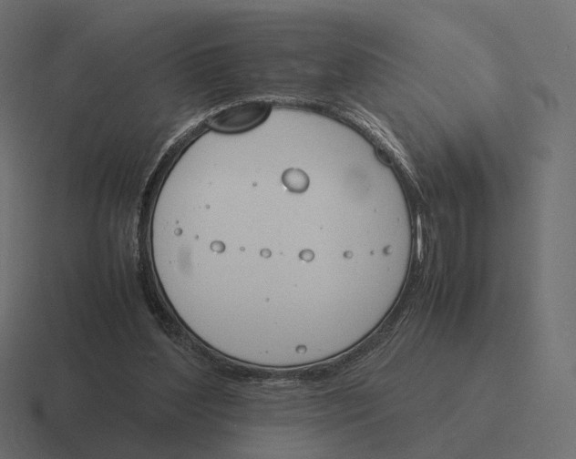 X0000116290204200912291419