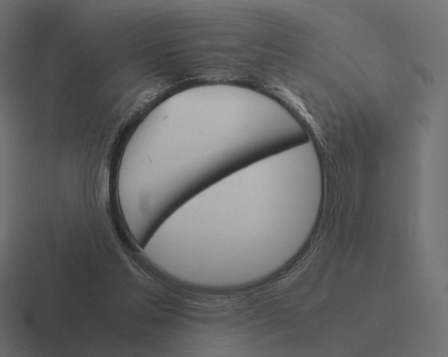 X0000116290205200912291419