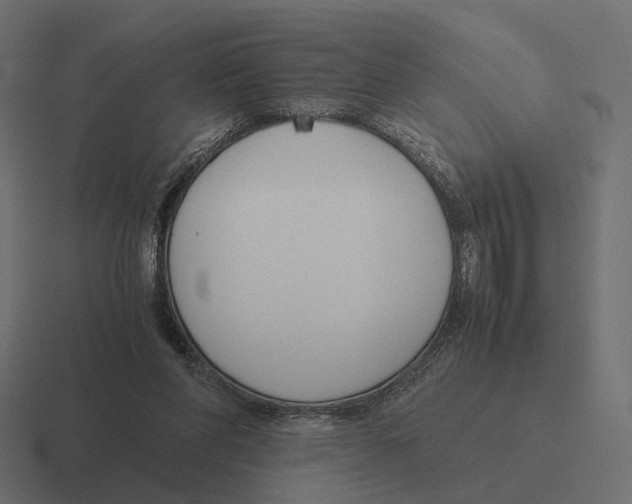 X0000116290206200912291419