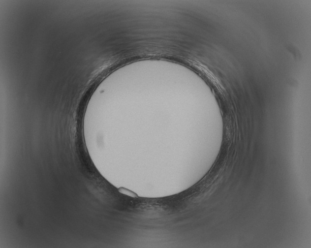 X0000116290207200912291419