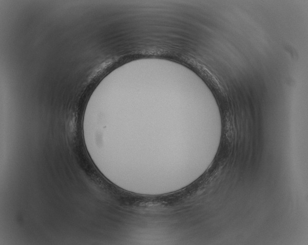 X0000116290208200912291419