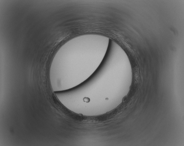 X0000116290211200912291419