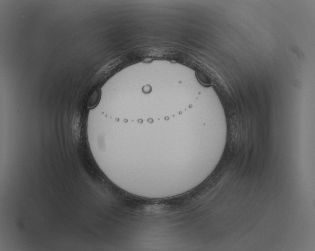 X0000116290216200912291418