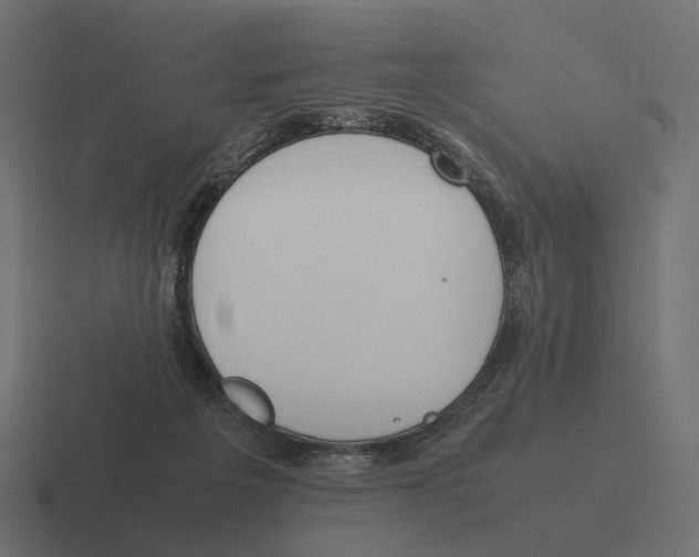 X0000116290217200912291418