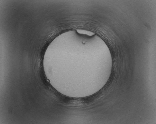 X0000116290219200912291418