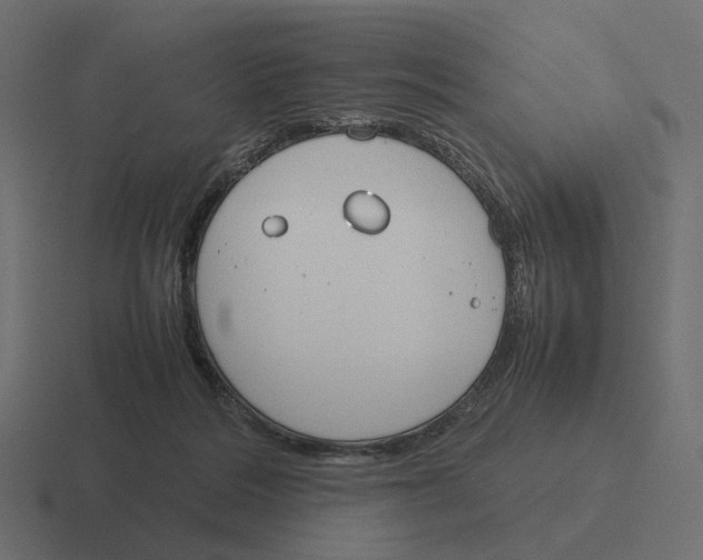 X0000116290220200912291418