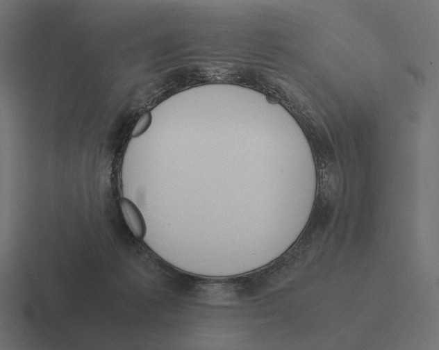 X0000116290221200912291418