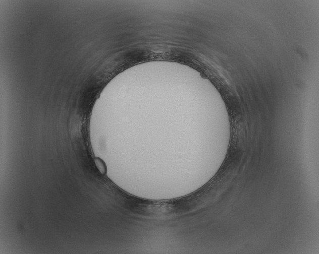 X0000116290225200912291418