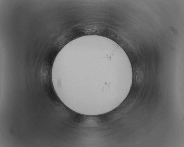 X0000116290226200912291418