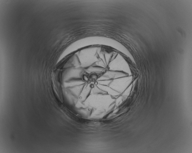 X0000116290227200912291418