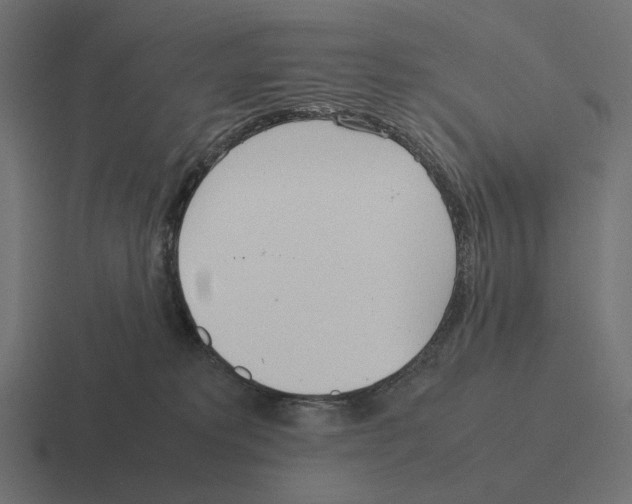 X0000116290229200912291418