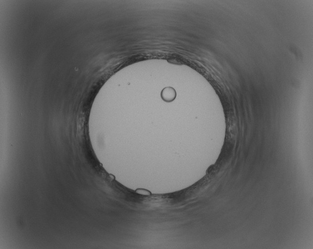 X0000116290231200912291418