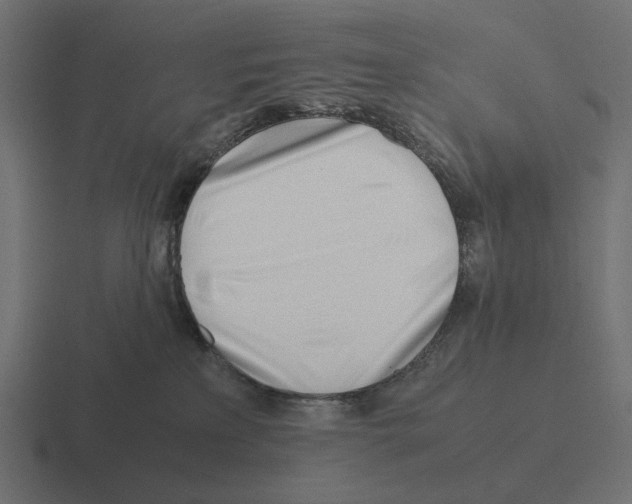 X0000116290233200912291418