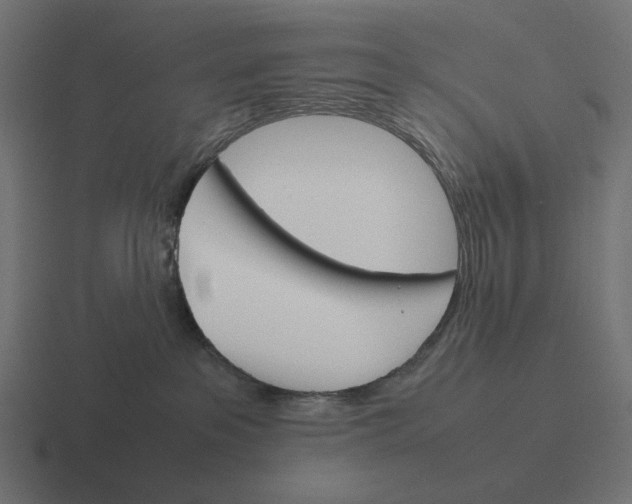 X0000116290237200912291418