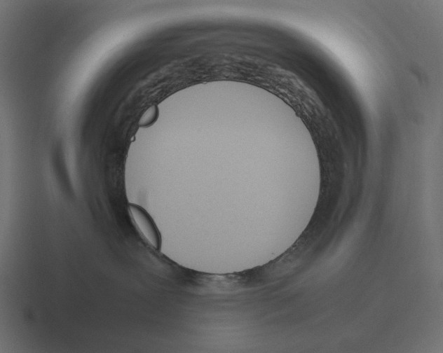 X0000116290239200912291418