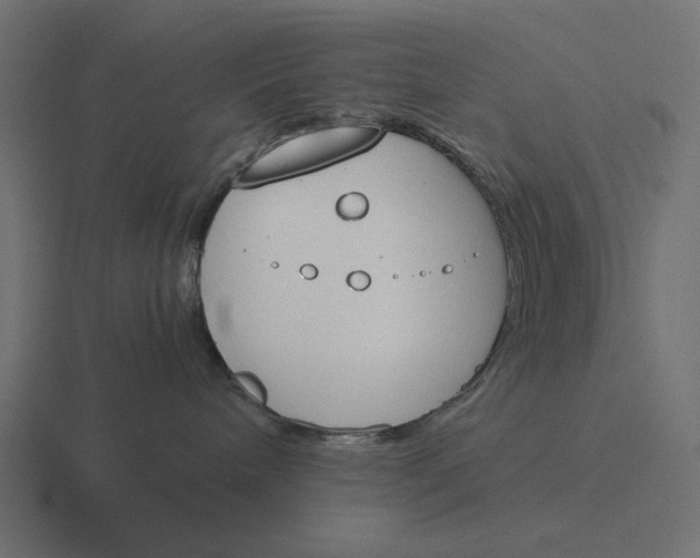 X0000116290240200912291418