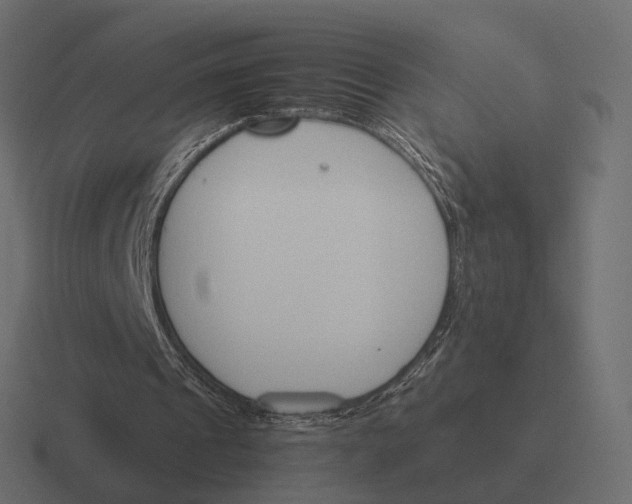 X0000116290241200912291418